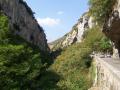 gal/Vacances/Tourrettes_a_visiter_sans_moderation/_thb_Grasse2007 171.jpg